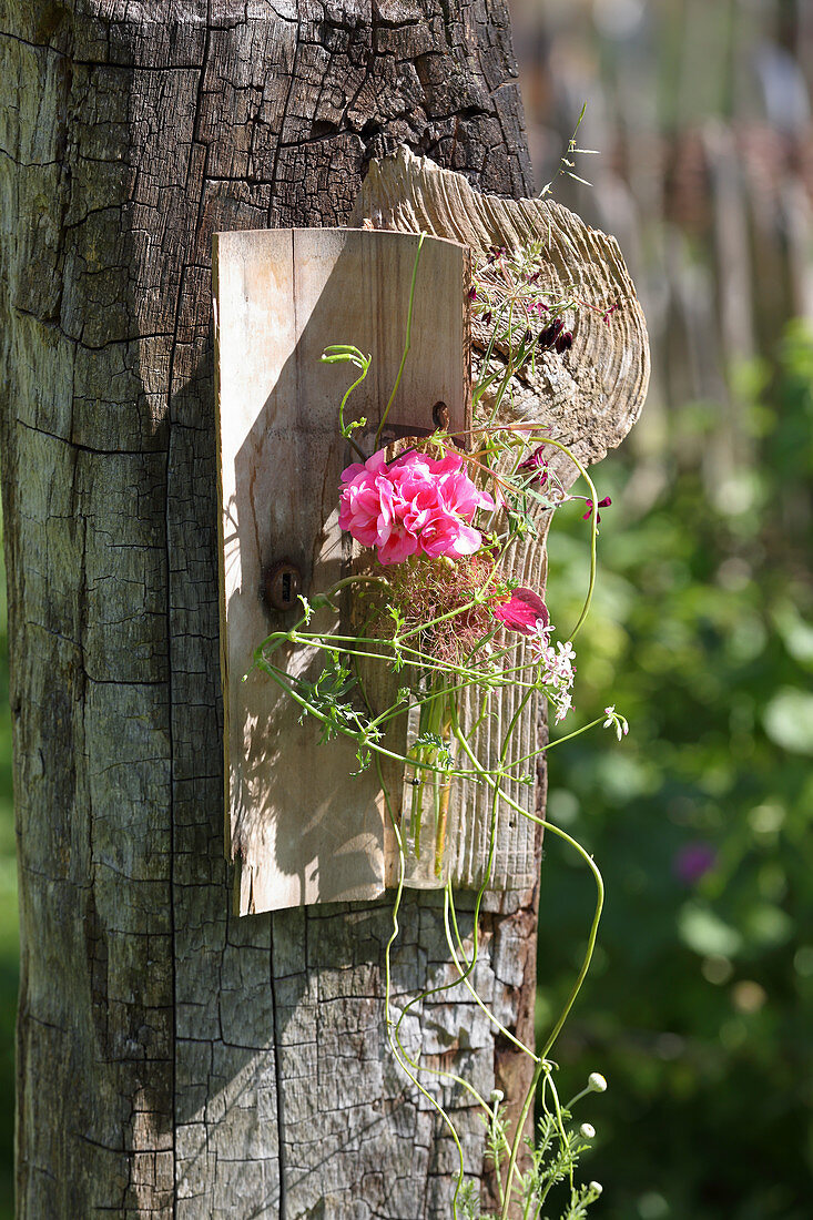 Holzbrett mit Geranienblüte in Glasväschen als sommerliche Gartendekoration