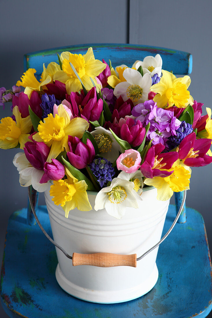 Colourful spring flowers in bucket