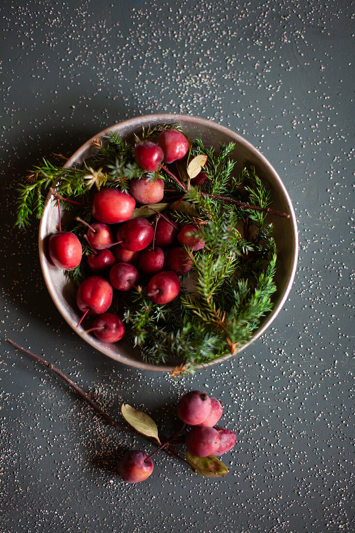 Red crab apples and conifer twigs in bowl
