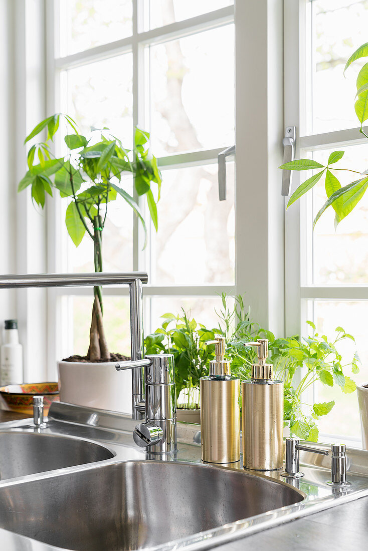 Golden soap dispensers next to sink and plants in front of lattice window
