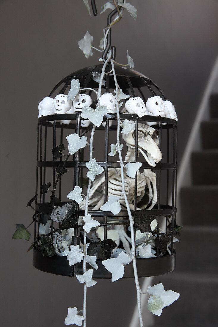 DIY-Halloweendekoration: Vogelskelett im Käfig