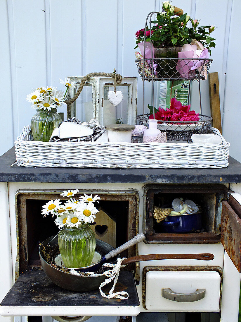 Plant stand and vases of ox-eye daisies on old wood-fired cooker