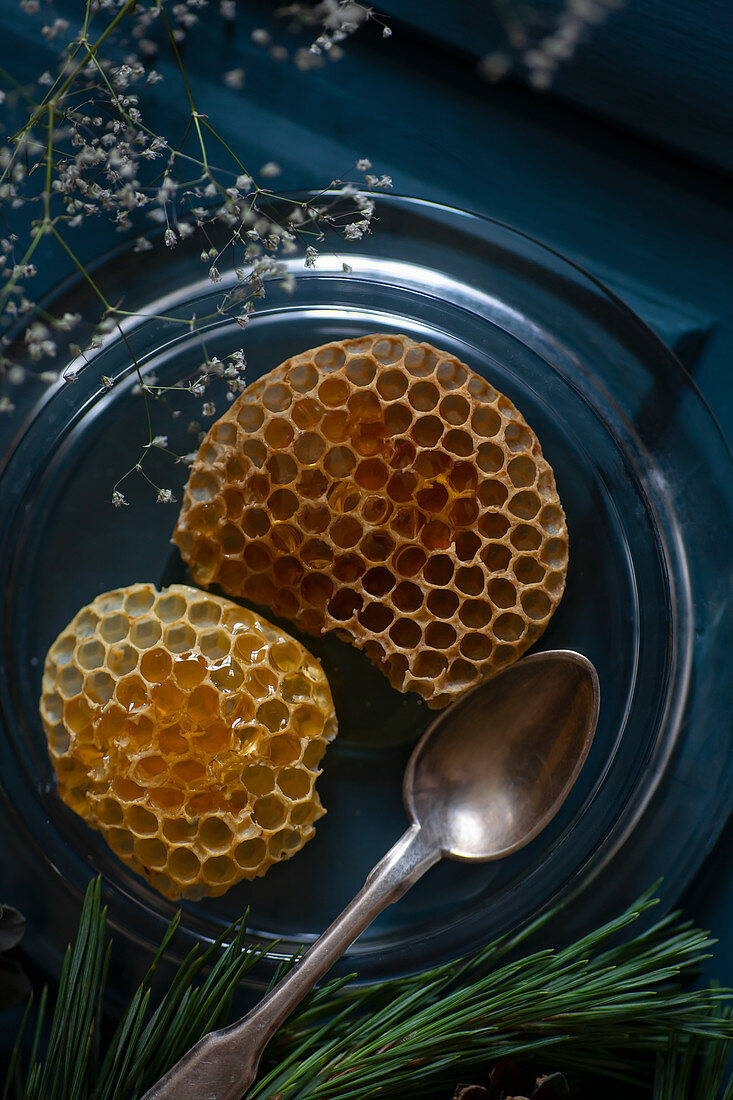 Bienenwaben mit Honig auf einem Glasteller mit Silberlöffel