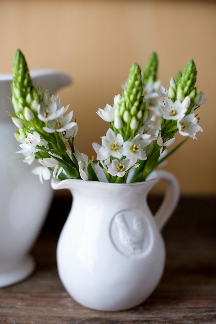 Krugvase mit weißen Blüten