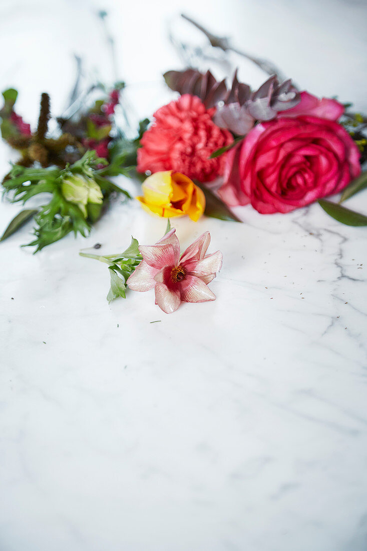Roses, carnation, anemone and eucalyptus sprig
