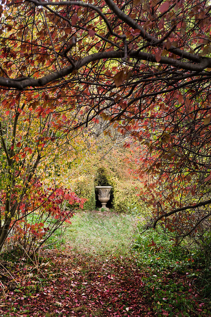 View of urn in garden seen through autumnal shrubs