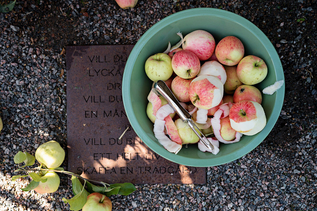 Geschälte Äpfel und Apfelernte in einem Eimer auf einem Metallschild
