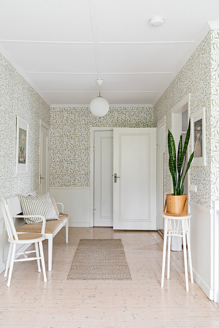 Chair, bench and houseplant in bright wallpapered hallway