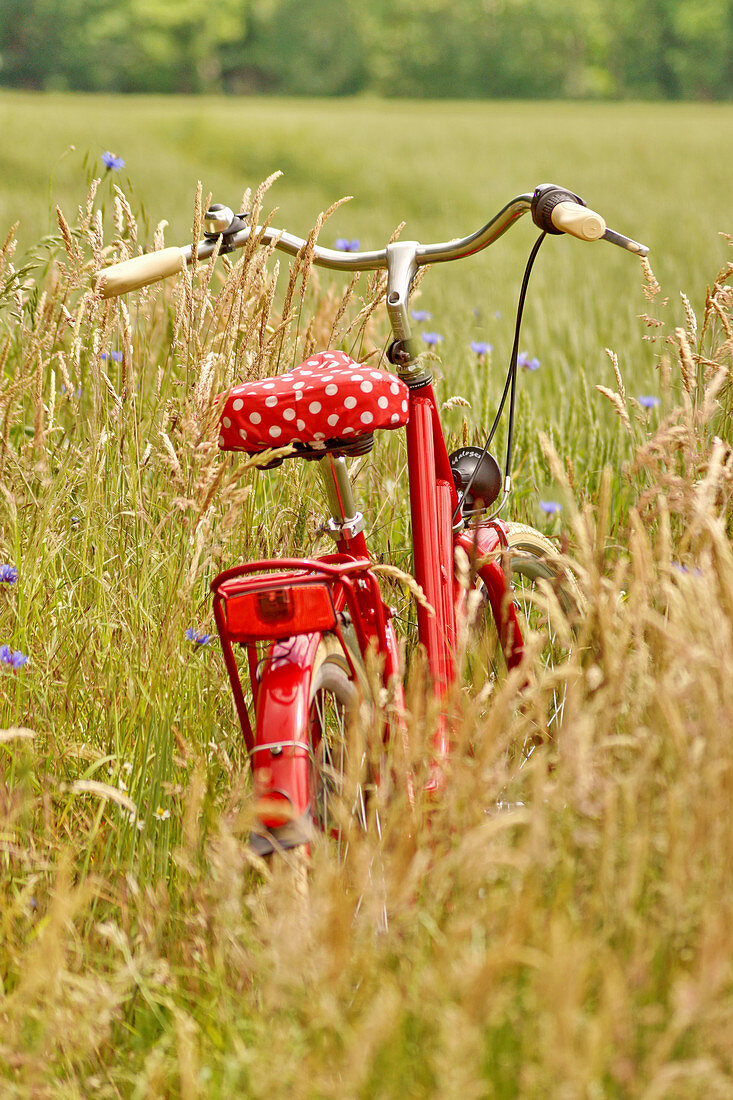 Rotes Fahrrad im Feld