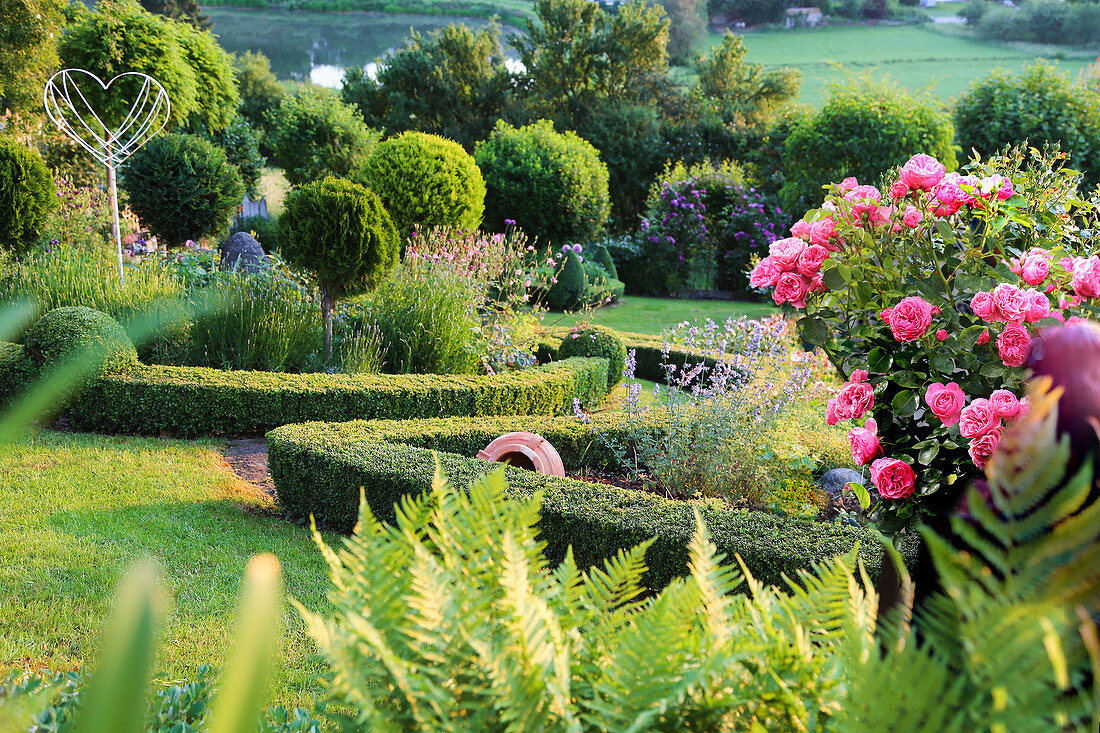 Garden with box hedges, ferns, roses and ornaments