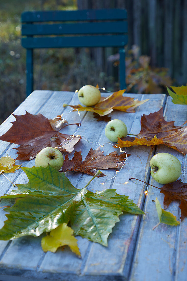 Herbstlaub und grüne Äpfel auf Gartentisch