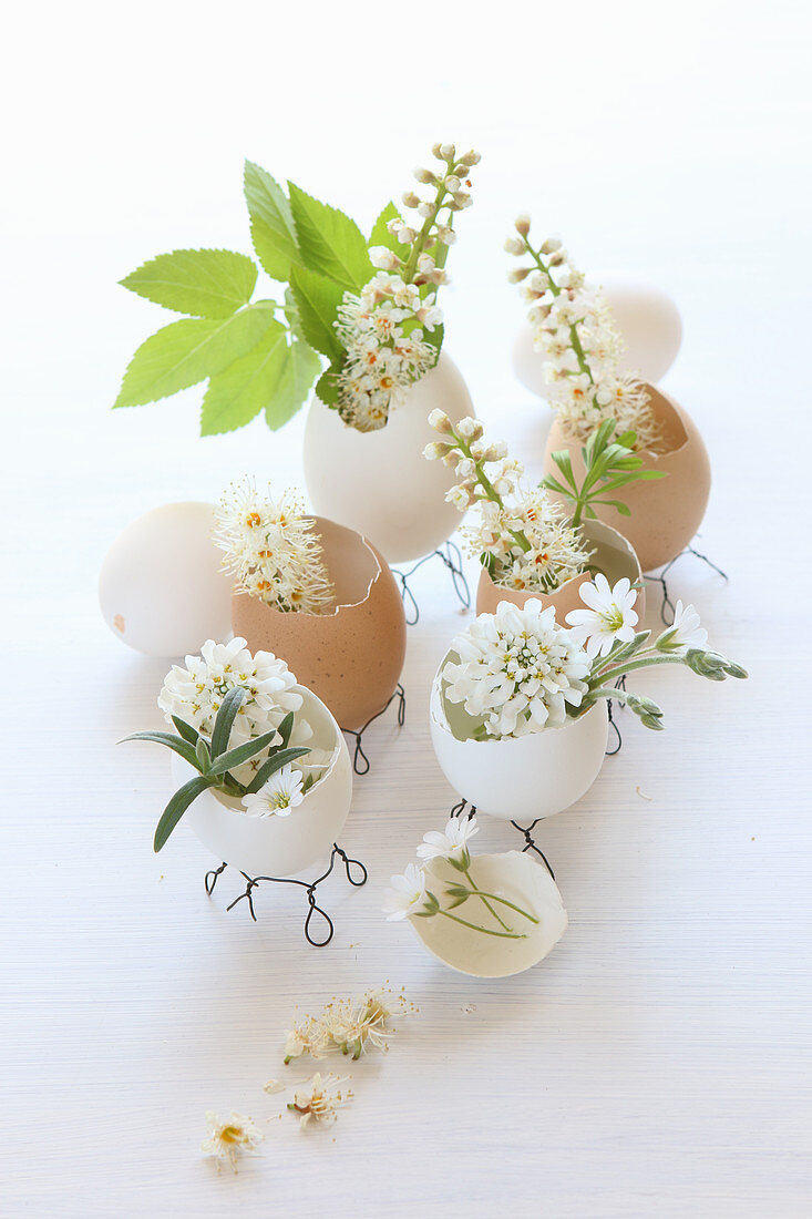 Eierschalen auf Drahtfüßen als Vasen für weiße Blümchen