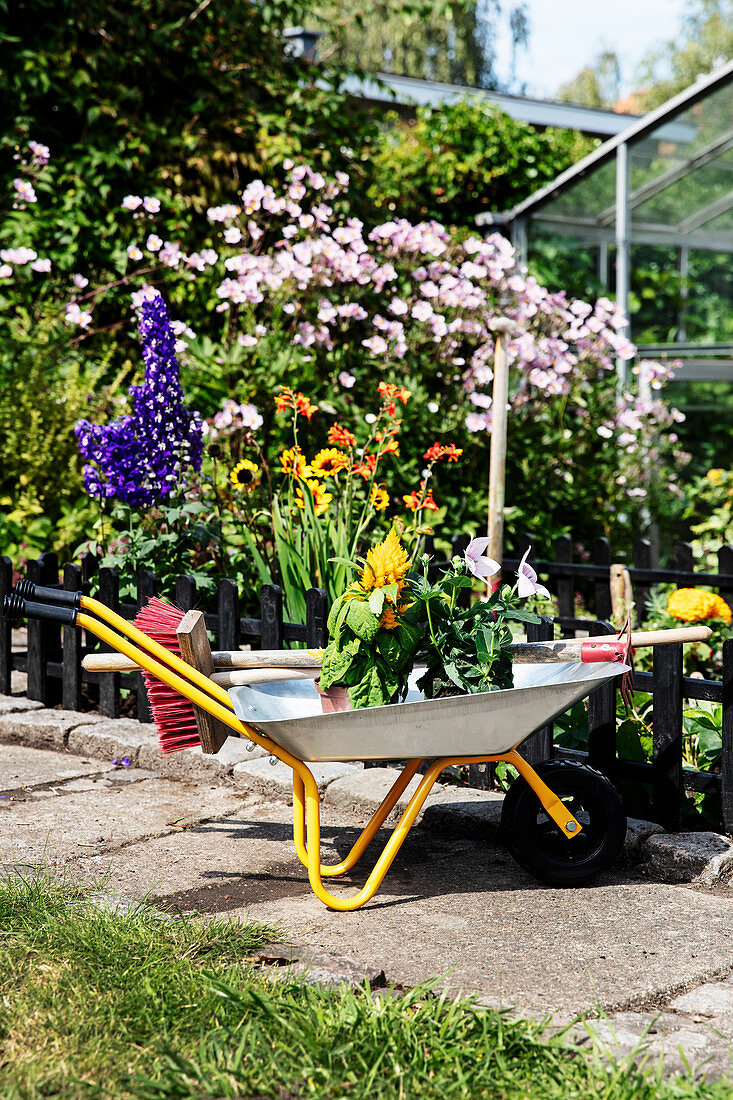 Schubkarre mit Sommerblumen und Gartengerät