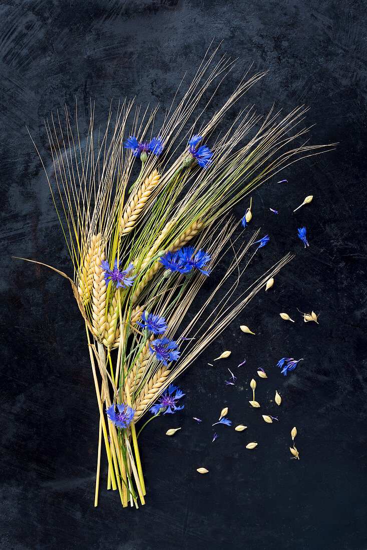 Barley and cornflowers arranged on dark surface