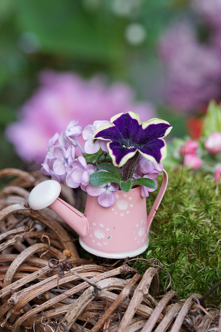 Mini-bouquet of lilac blossoms and petunias in a decorative watering can