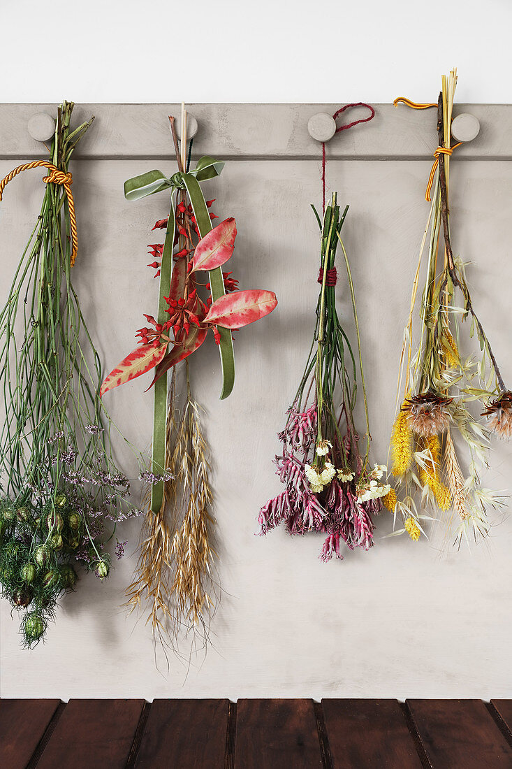 Bunches of dried flowers and grasses hanging from row of hooks