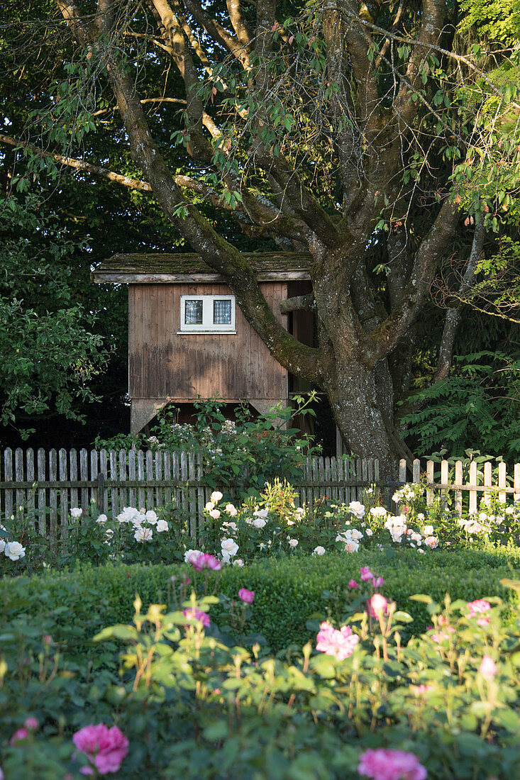 Gartenhaus am Baum vorm Beet mit Buchs und Rosen
