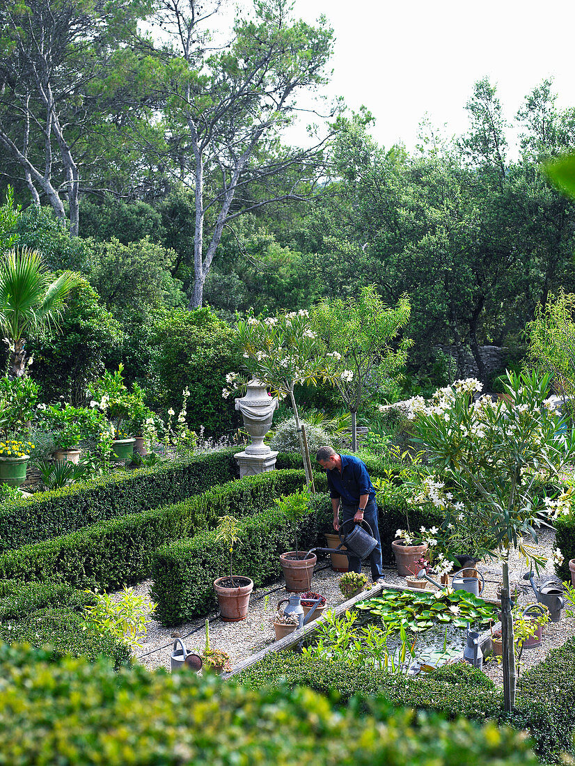 Mediterraner Garten mit Hecken, Oleander-Stämmchen und Wasserbecken, Mann gießt Kübel