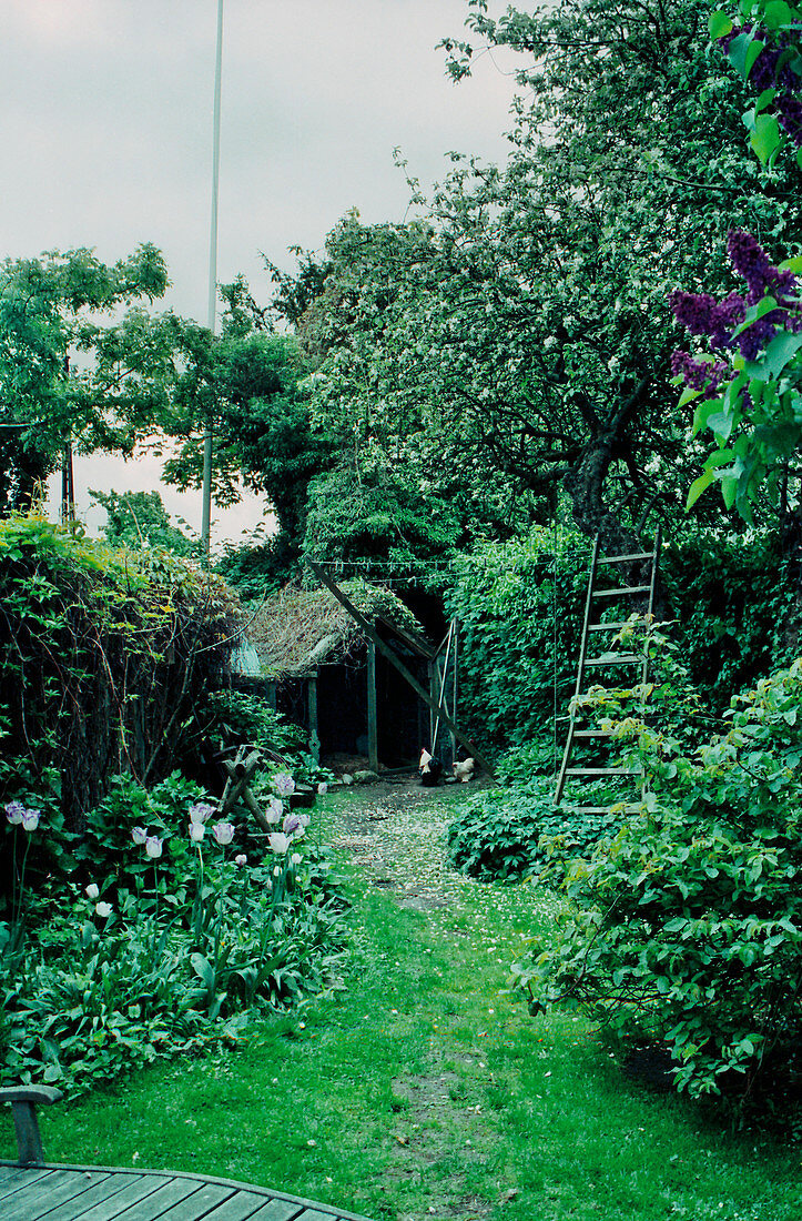 Verwunschener kleiner Garten mit Tulpenbeet, Gehölzen und Gartenlaube