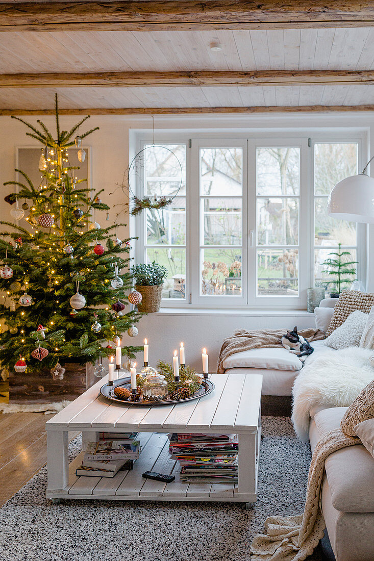 Christmas tree in pleasant country-house-style living room