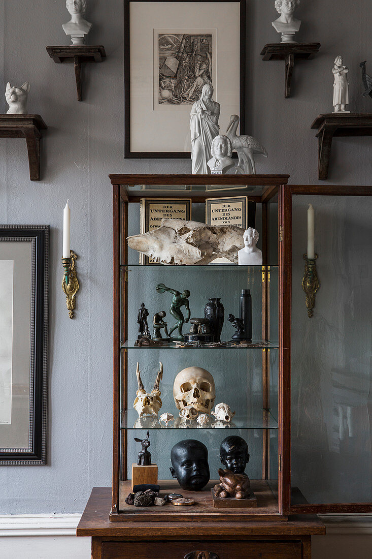 Collection of curiosities in display case and sculptures on bracket shelves