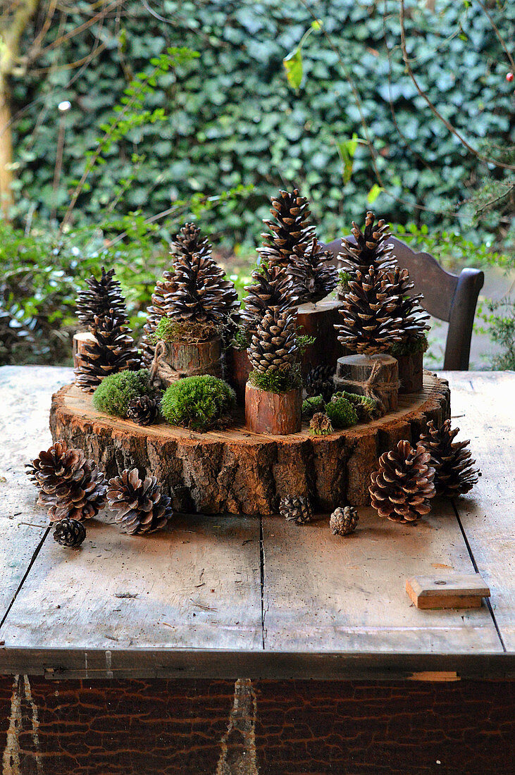 DIY decoration with Pinecones and moss on pieces of branch and a wooden disc