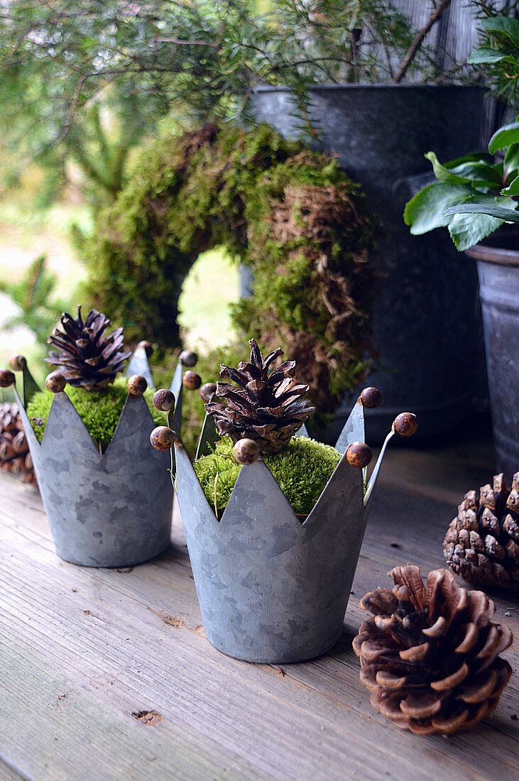 Zinc crowns filled with moss and pine cones