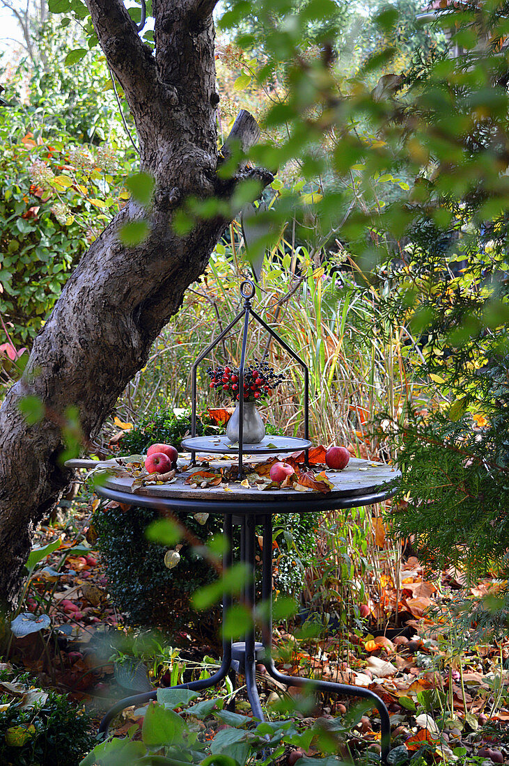 Tisch im Garten mit Strauß aus Hagebutten und Ligusterbeeren, Äpfel und Herbstlaub als Deko