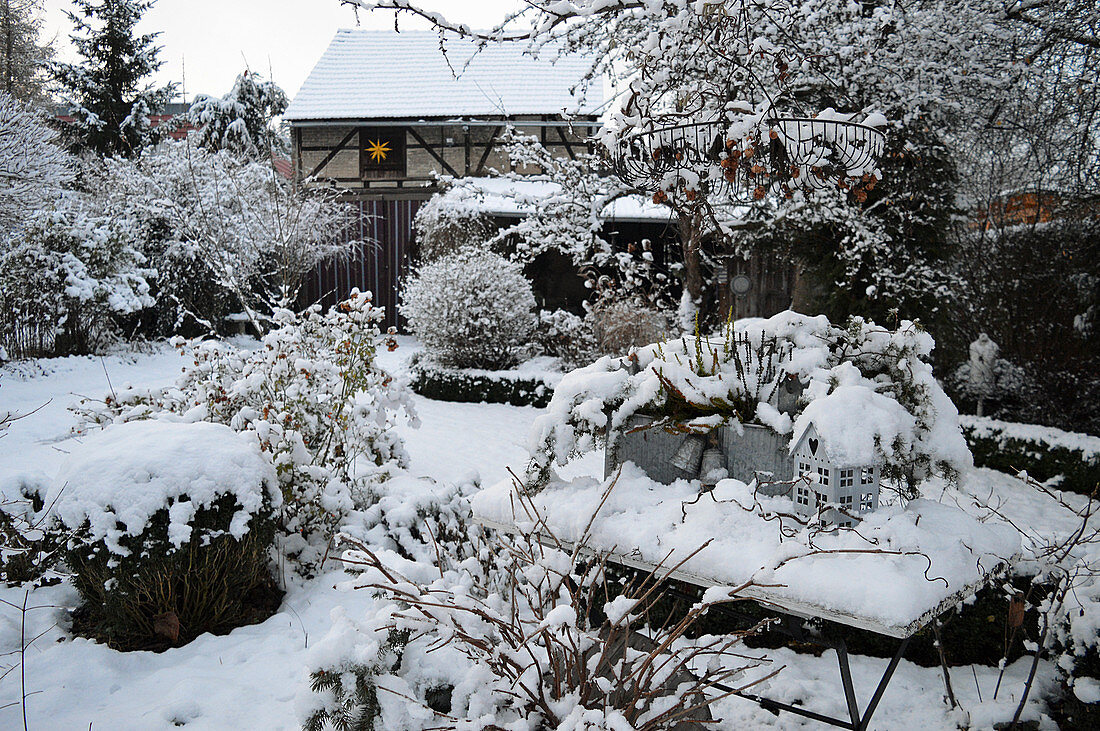 Verschneiter Garten im Winter