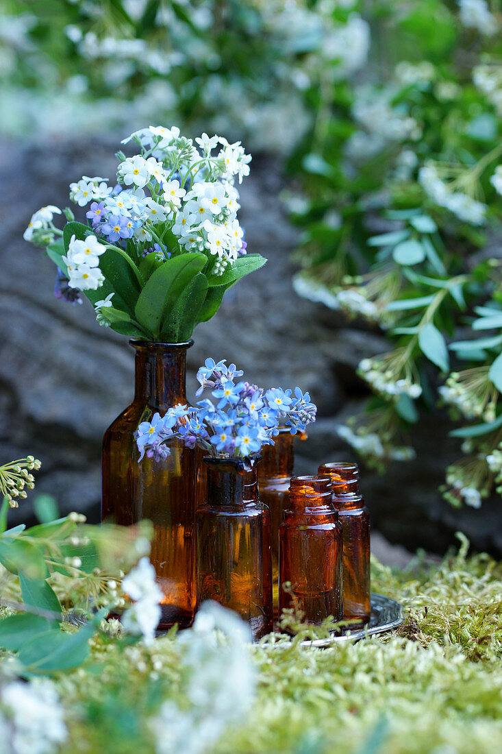 Blue and white forget-me-nots in brown glass bottles