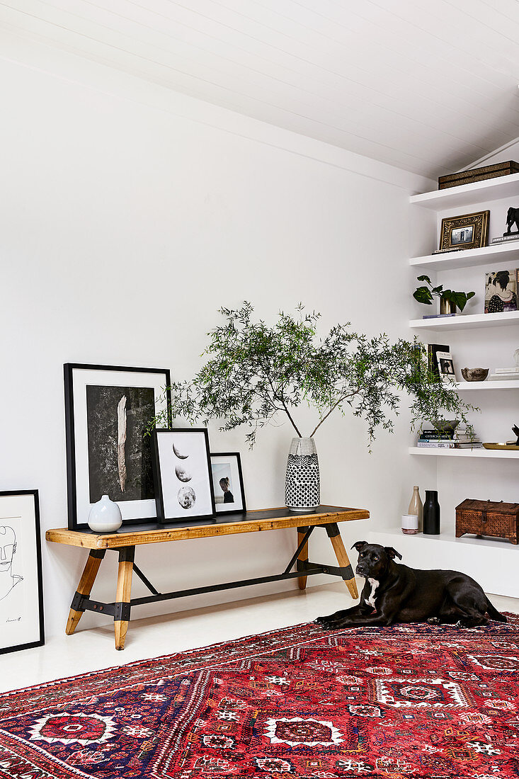 Rustikale Holzbank mit gerahmten Fotos und Grünpflanze, davor Hund auf Teppich