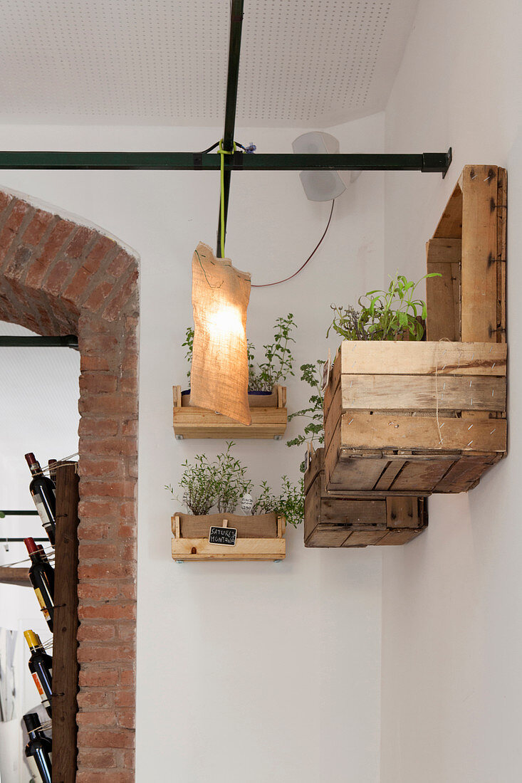 Potted herbs on DIY shelves made from reclaimed wood and wooden crates