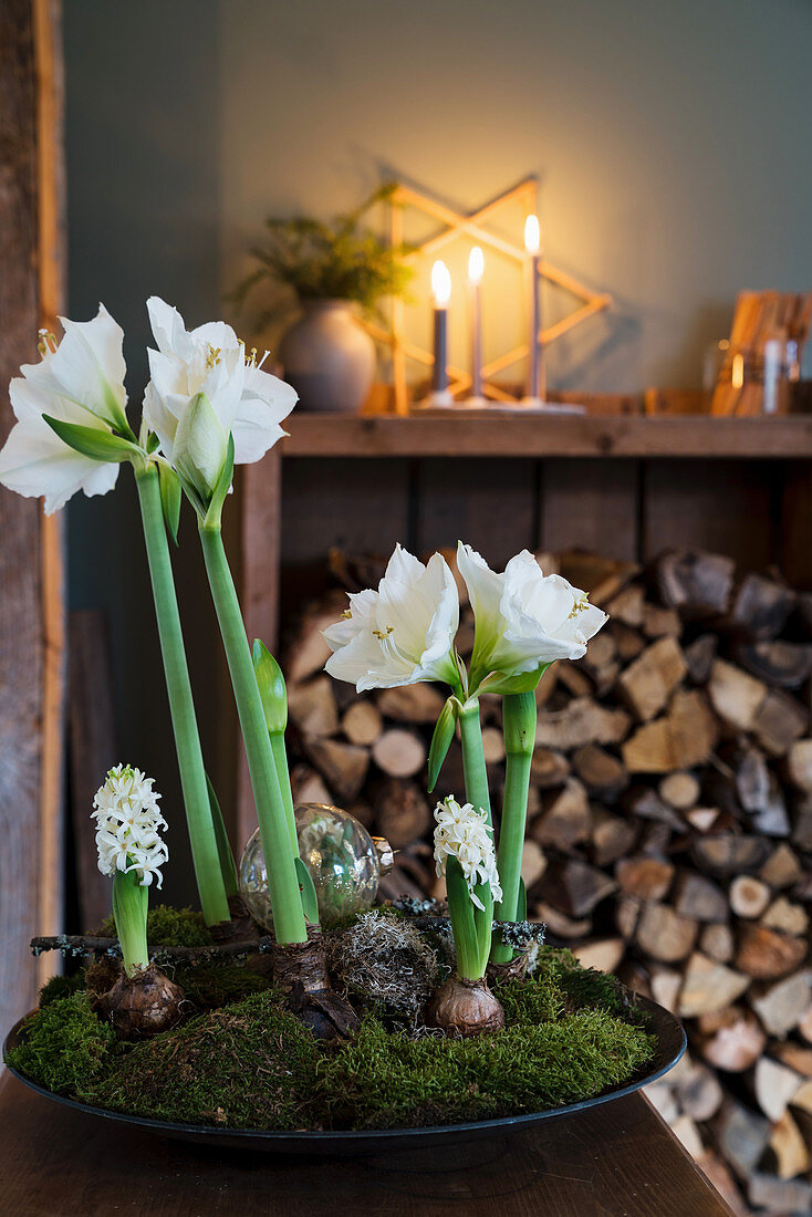 Blumenschale mit weißer Amaryllis, Hyazinthen und Moos