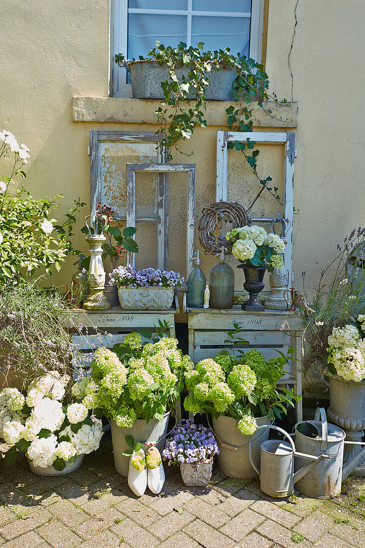 Vintage-style accessories, old window frames and hydrangeas outside house