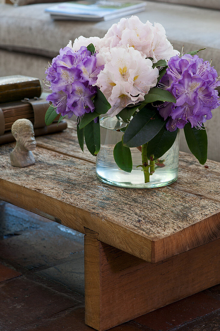 Vase of purple and white rhododendrons on rustic wooden coffee table
