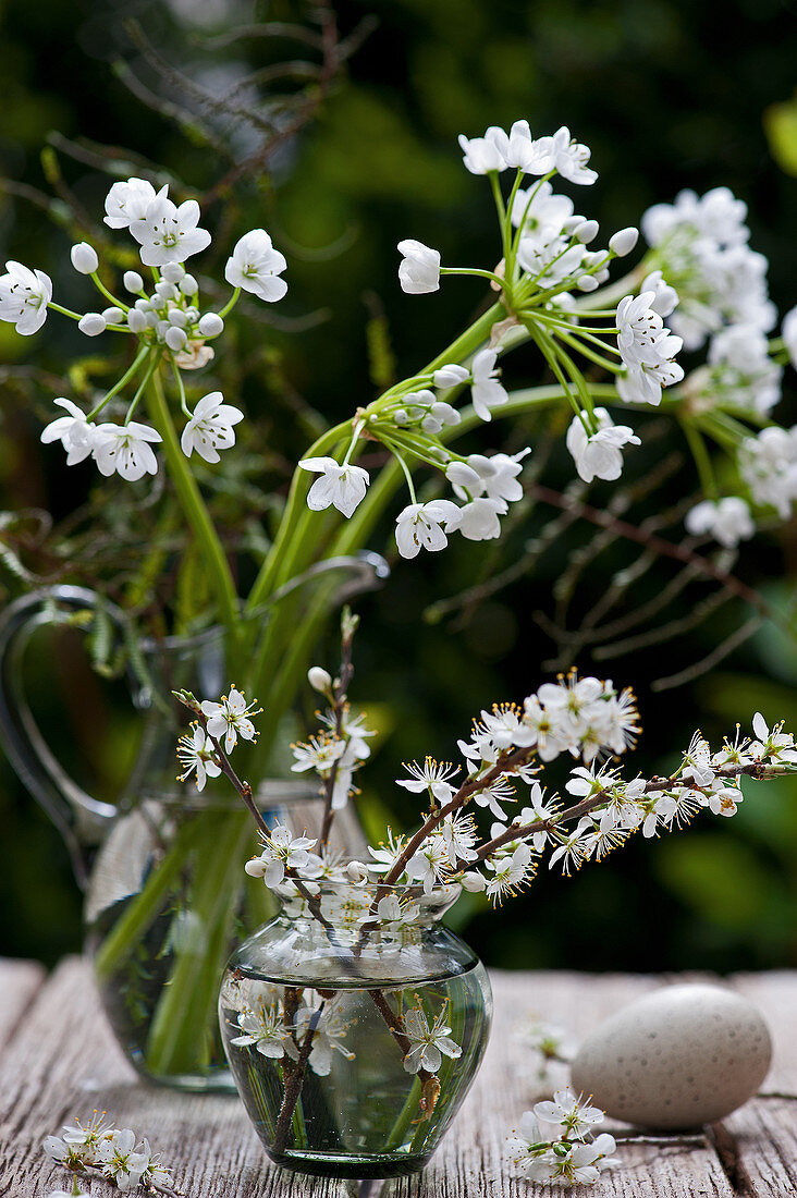 Posies of blackthorn blossom and Star-of-Bethlehem