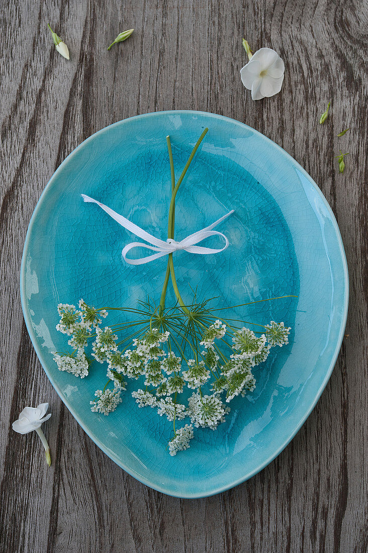 Queen Anne's lace on turquoise plate