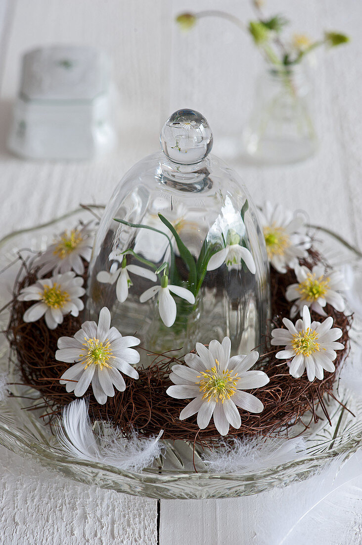 Wreath of anemones in cut glass bowl with glass cover