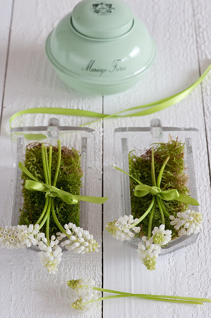 White grape hyacinths and moss in old glass scoops