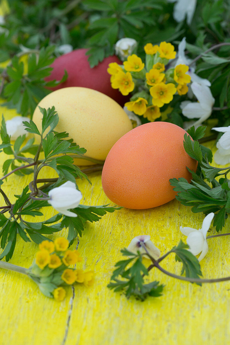 Easter eggs, cowslips and wood anemones