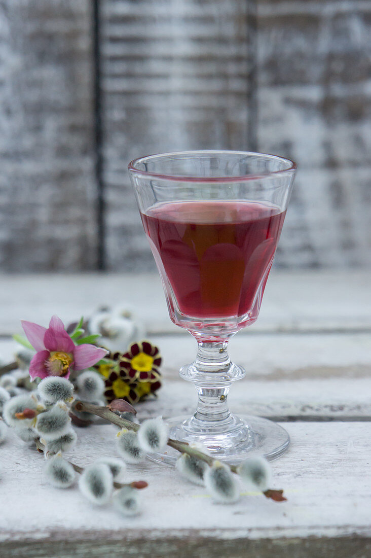 Ein Glas Aroniasaft, Küchenschelle (Pulsatilla vulgaris) Weidenkätzchen und Primeln
