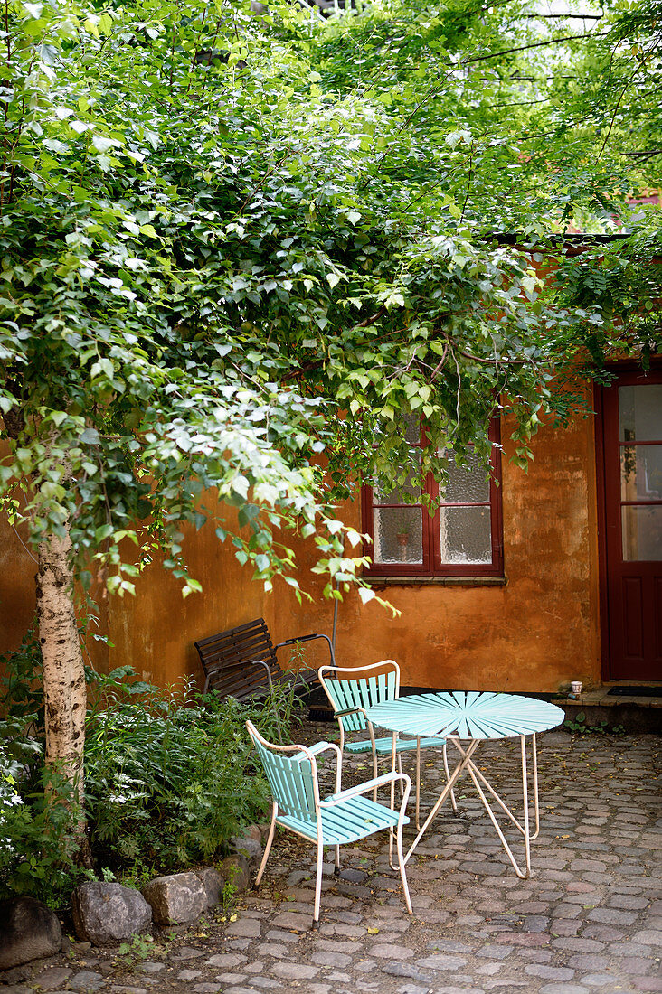Table and chairs under birch in paved courtyard of house