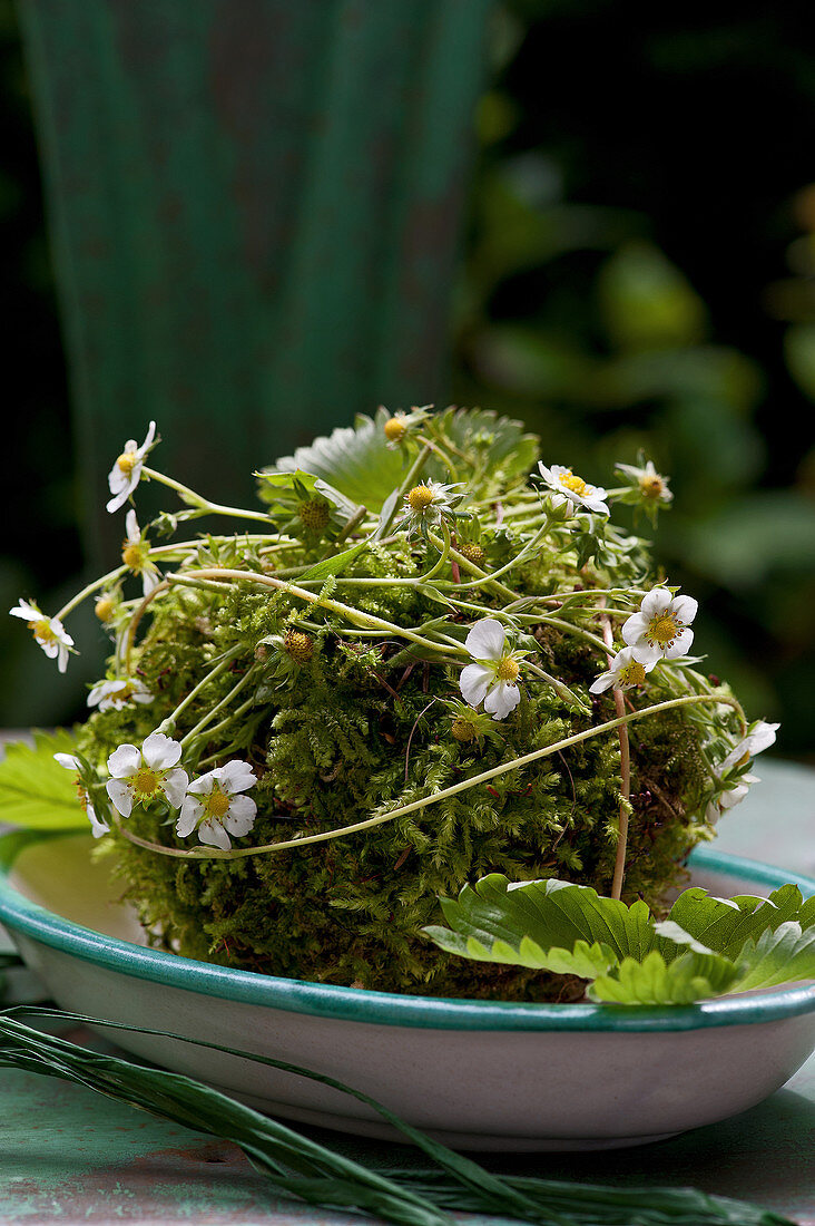 Moss ball decorated with wild strawberry flowers