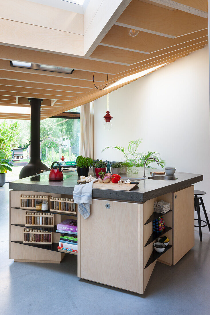 Modern kitchen with cook island and integrated shelving system