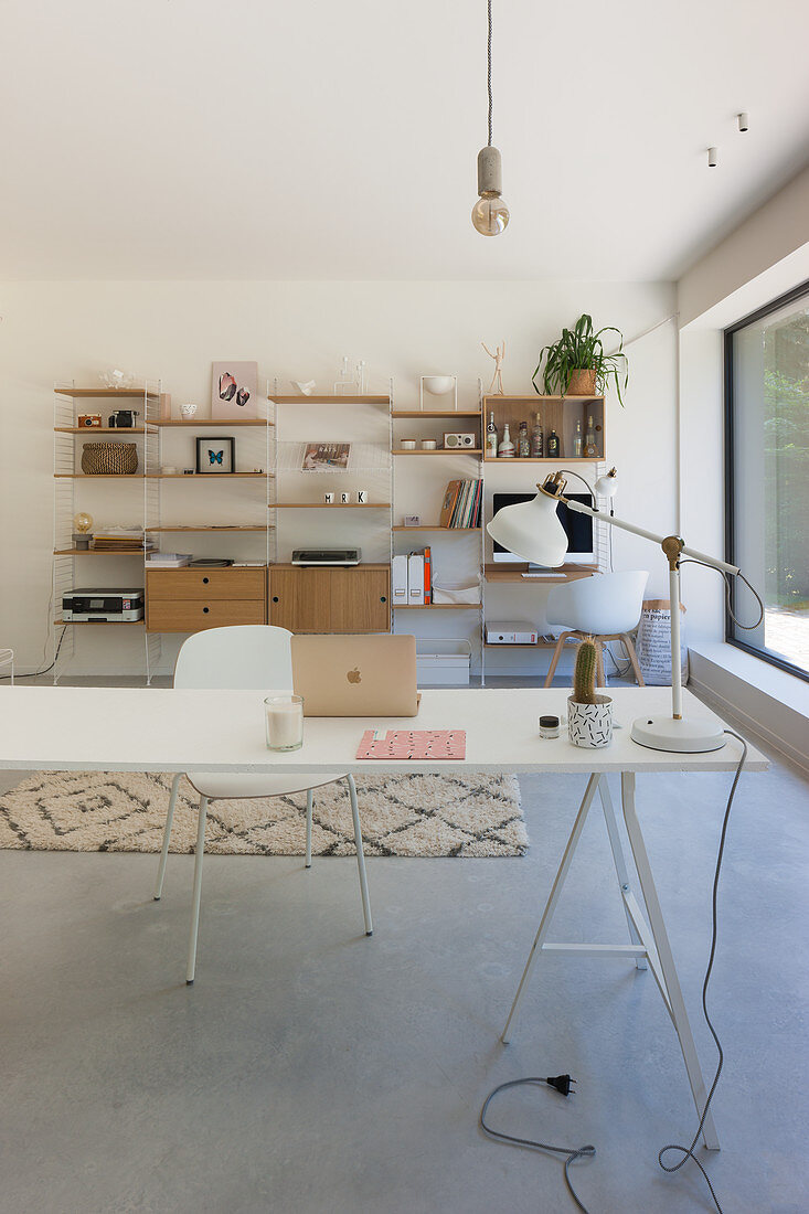 Long desk and shelving in modern study