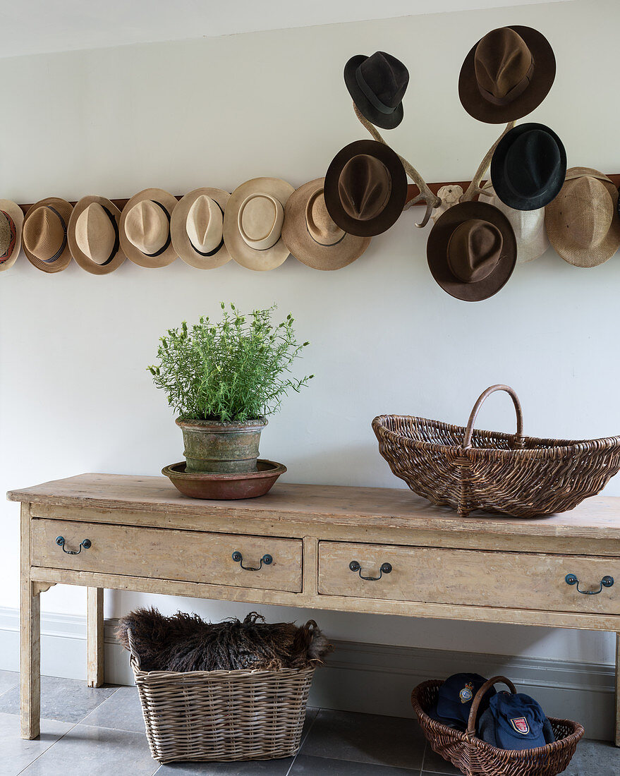 Hats hung on antlers and row of hat pegs above console table in hallway