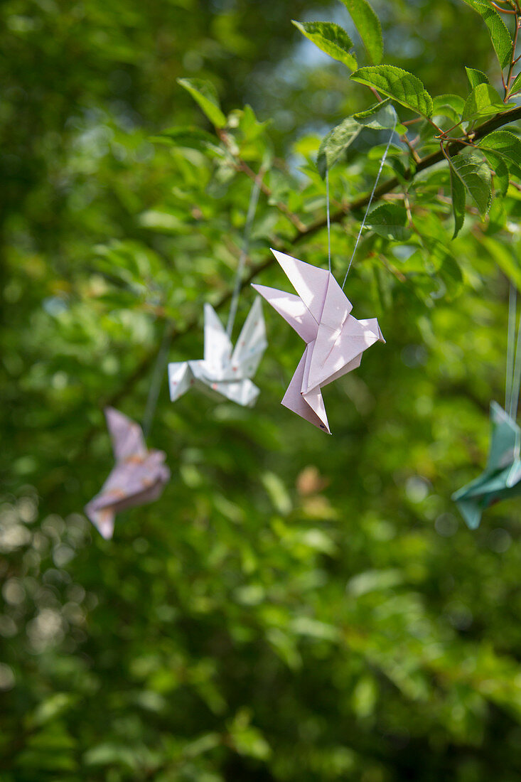 Origami birds hung in tree as spring decorations
