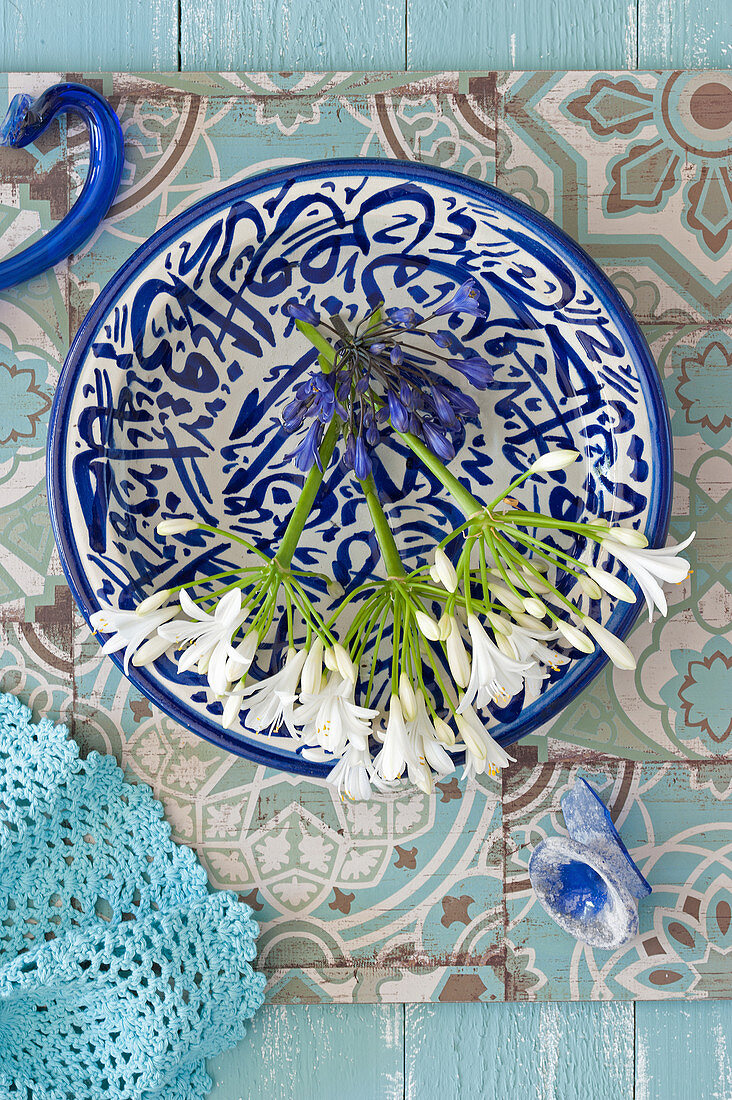 Weiße Schmucklilien in blau-weißer Schale