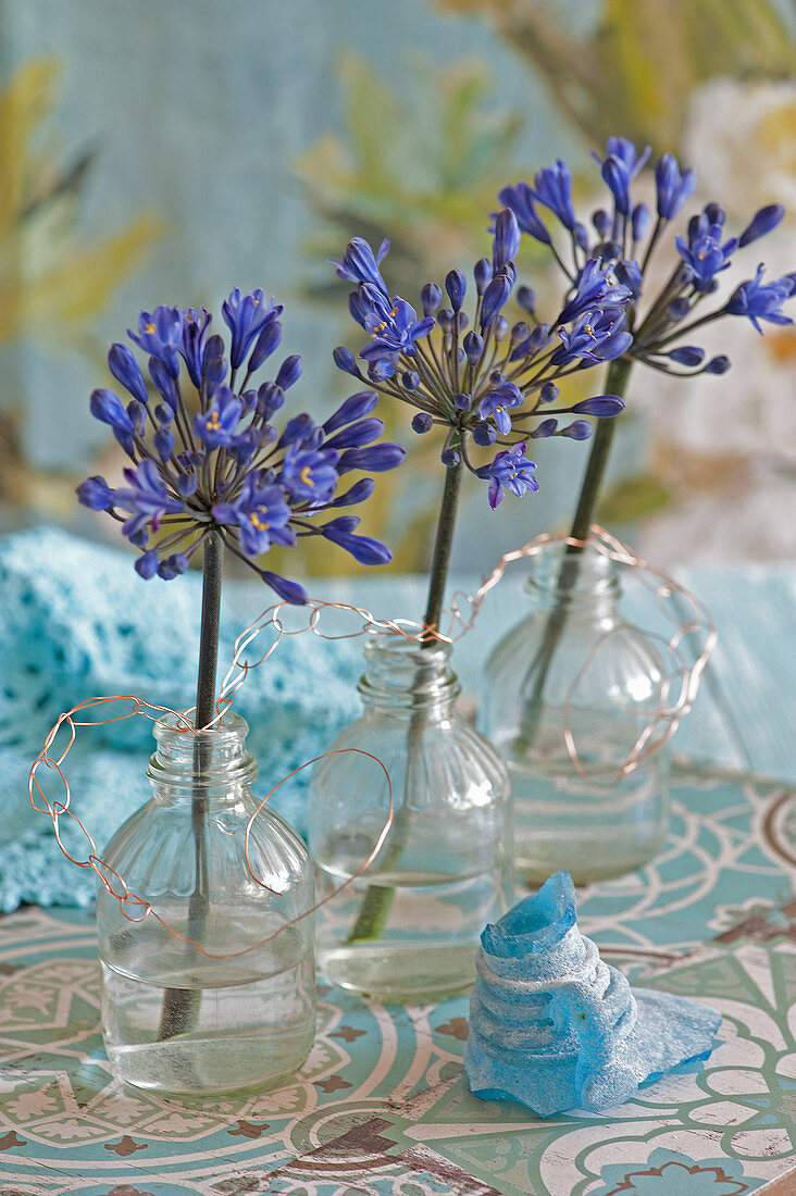 Blue agapanthus in small glass bottles