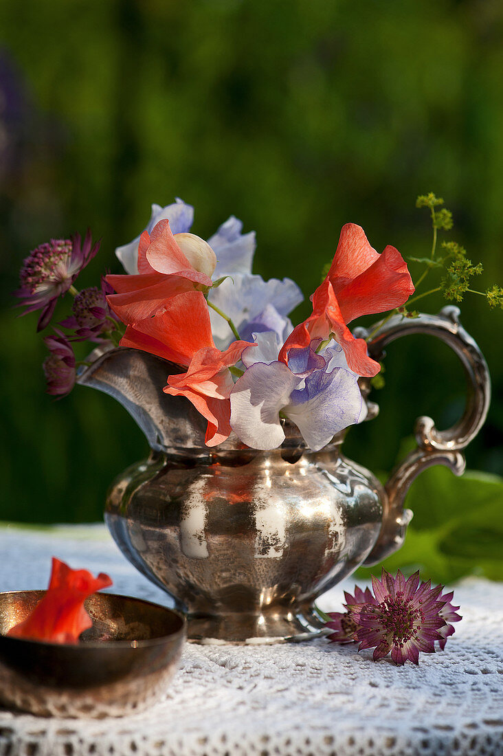 Posy of sweet peas, astrantia and lady's mantle in silver jug